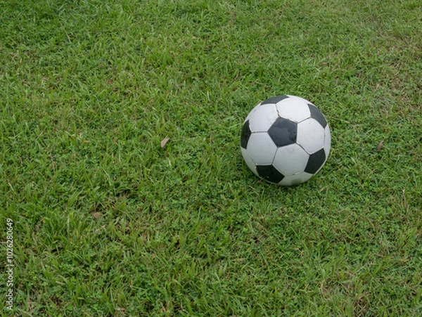 Fototapeta Football on green grass