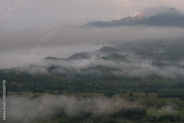 Fototapeta A landscape view of nature of green mountain at sunrise morning