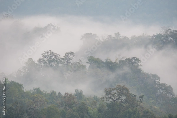 Fototapeta A landscape view of nature of green mountain at sunrise morning