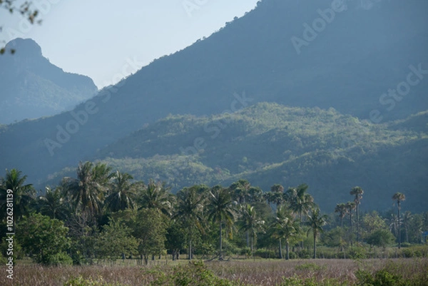 Fototapeta A landscape view of nature of green mountain at sunrise morning