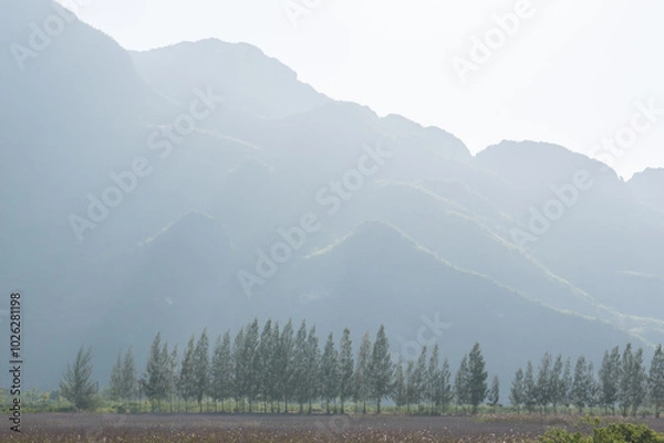 Fototapeta A landscape view of nature of green mountain at sunrise morning