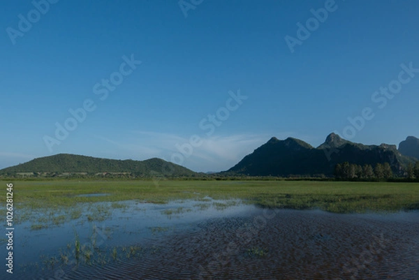 Fototapeta A landscape view of nature of green mountain at sunrise morning