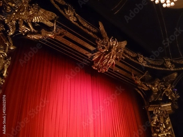 Obraz The Phantom of the opera