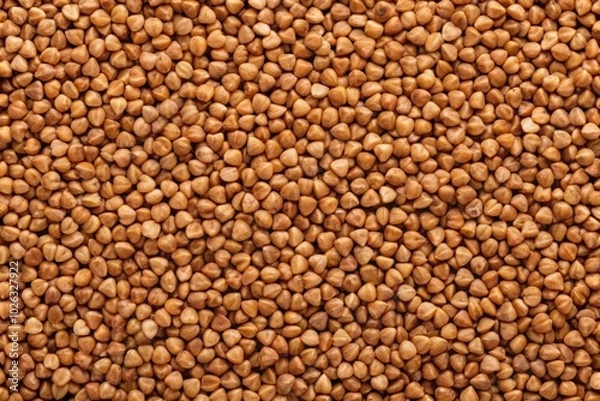 Obraz Uncooked brown buckwheat grains background