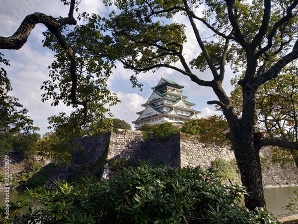 Obraz Osaka castle views