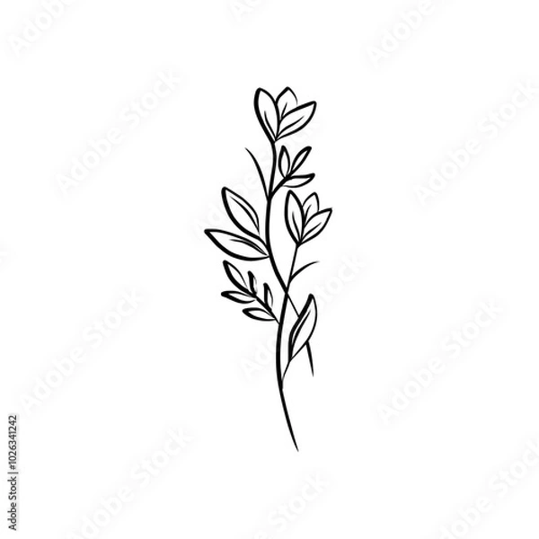 Fototapeta Flowers Element Vector