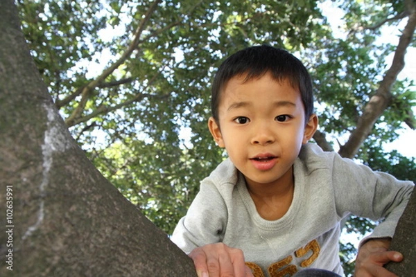 Fototapeta 木登りする幼児(6歳児)