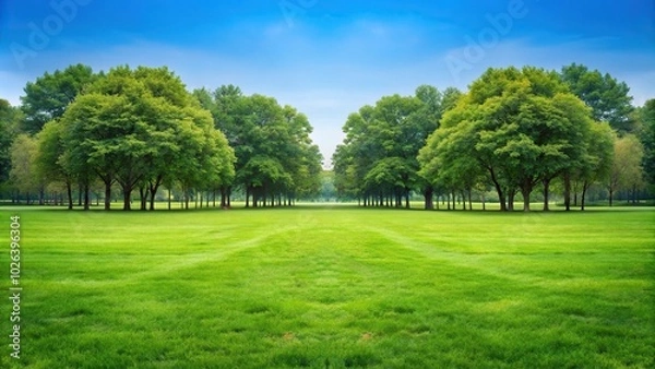 Fototapeta Symmetrical field of grass with trees in the background