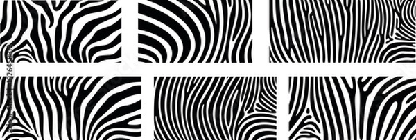 Fototapeta Zebra texture logo. Isolated zebra texture on white background