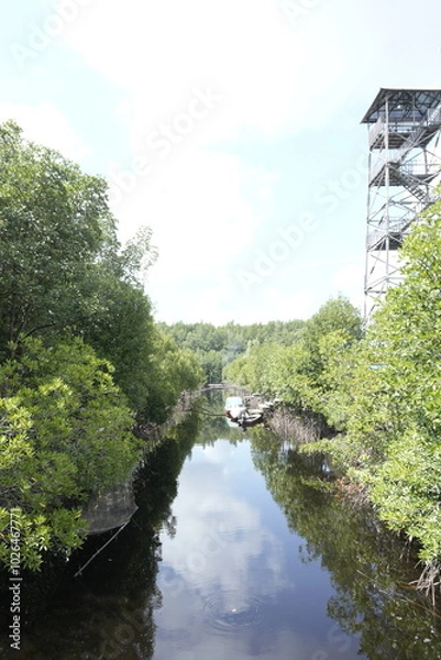 Obraz river with walls of lush mangrove trees
