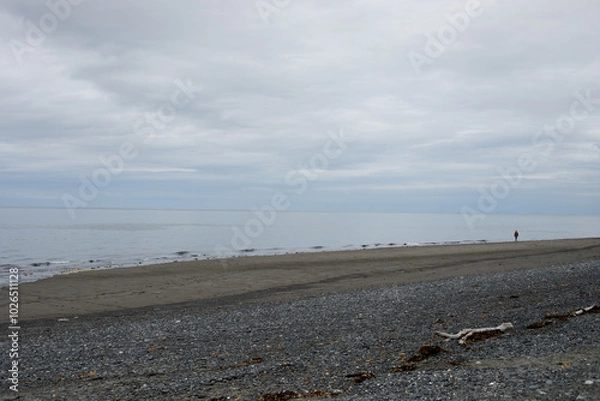 Obraz Driftwood on the beach with waves