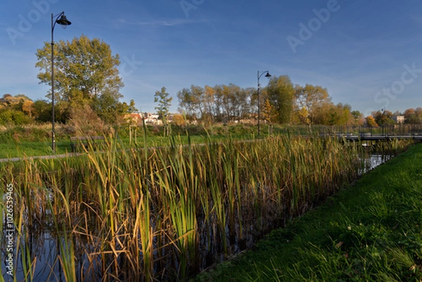 Obraz nad stawem