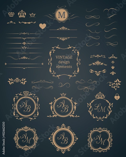 Obraz Vintage set of decorative elements