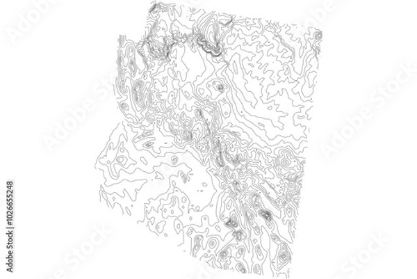 Fototapeta Arizona State Elevation Contour Map SVG - Topographic Terrain Lines for Geographic Design & Cartography. Vector Desert Relief.