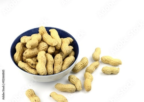 Fototapeta 落花生