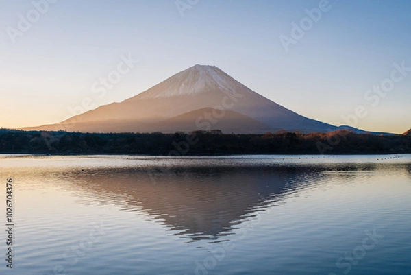 Fototapeta Sunrise with boats on the lake Shoji with mount Fuji in Background