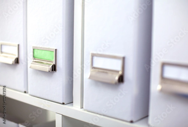 Fototapeta File folders, standing on  shelves in the background