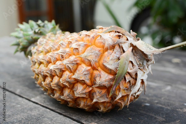 Fototapeta Pine apple.