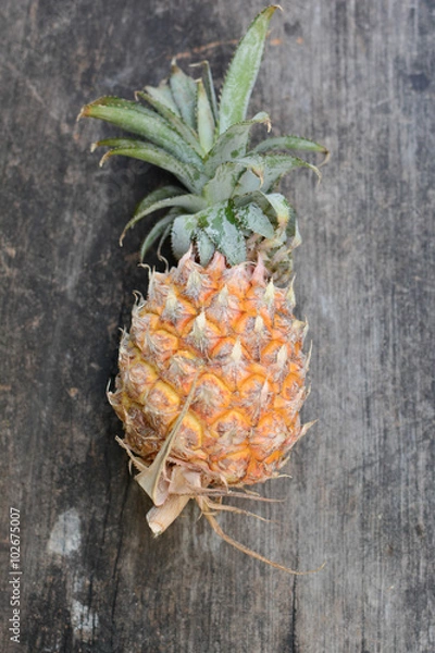 Fototapeta Pine apple.