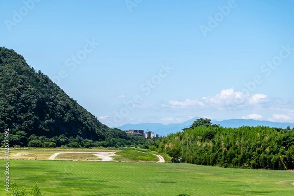 Fototapeta 長良川の河川敷