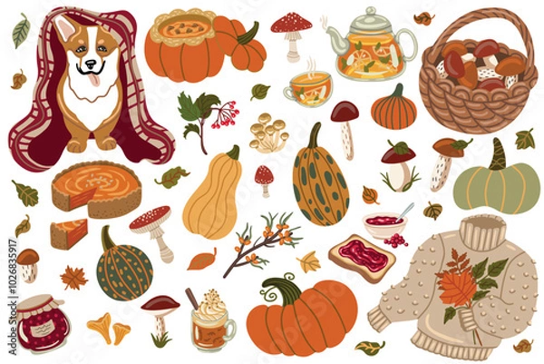Fototapeta Set hand drawn vector isolated elements of Autumn time. Pumpkin. Mushrooms. Harvesting. Knitted sweater. Halloween. A branch of sea buckthorn. Berry. Color image on a white background.