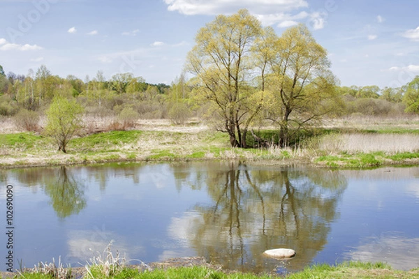 Fototapeta Spring natural landscape
