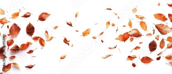 Fototapeta Autumn leaves falling against a white background.