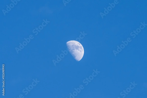 Obraz A bright moon in a blue sky