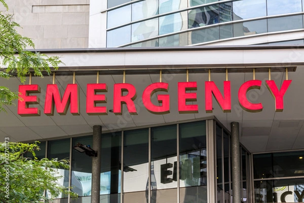 Obraz Emergency Sign