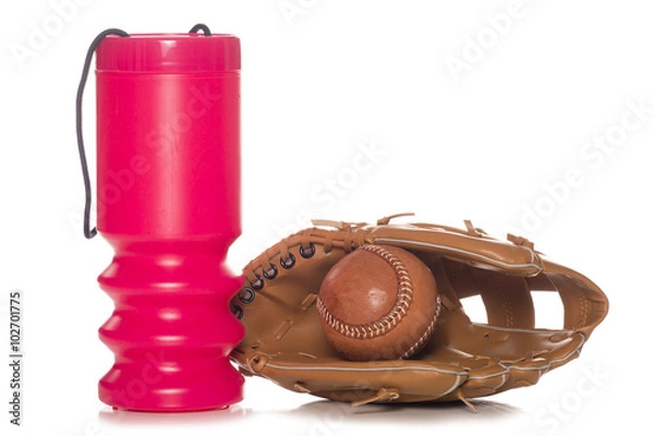 Obraz charity baseball match