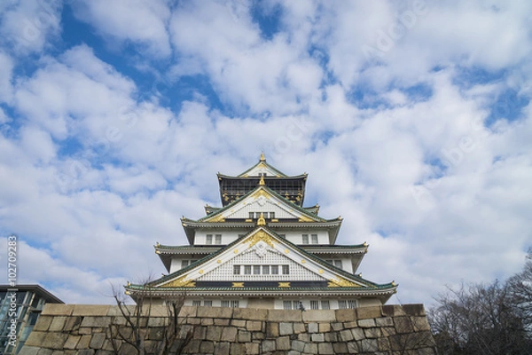 Obraz Osaka castle