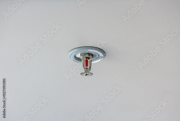 Obraz White water sprinkler in case of fire on the ceiling of the room