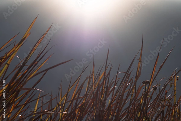 Obraz beautiful sunrise 