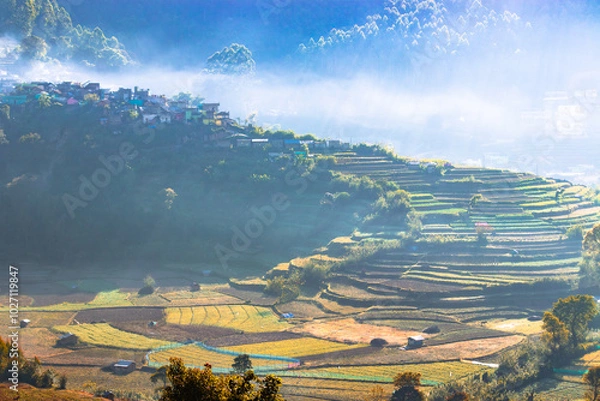 Obraz landscape in the mountains