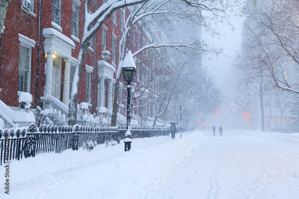 Fototapeta 雪のニューヨーク
