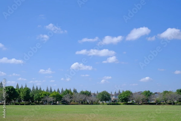Fototapeta 秋晴れ、青空と雲と公園、住宅地に近い