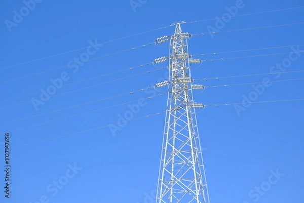 Fototapeta 青空と白い鉄塔