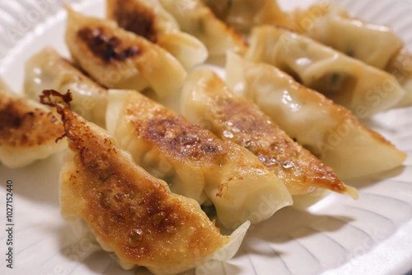 Fototapeta 手作り焼き餃子