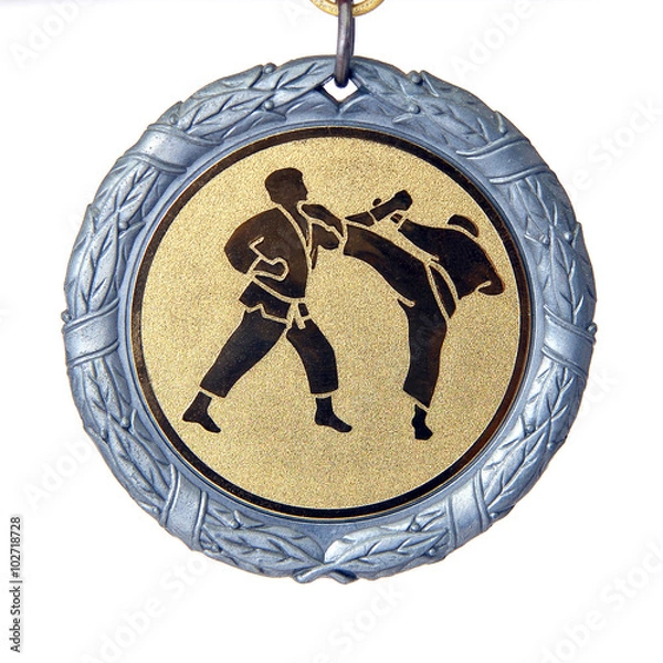 Obraz Medal karate