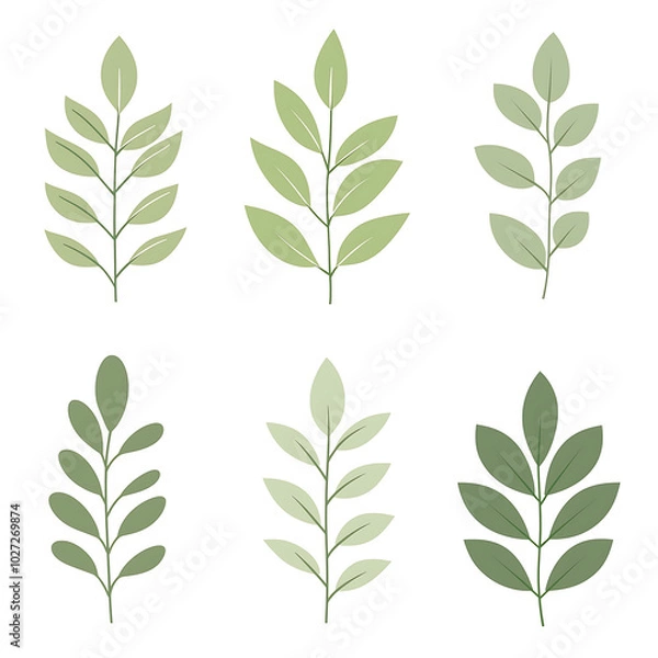 Fototapeta Minimalist style leaf vector on white background.