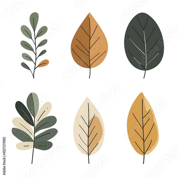 Fototapeta Minimalist style leaf vector on white background.