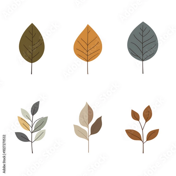 Fototapeta Minimalist style leaf vector on white background.
