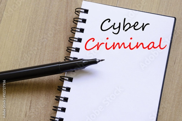 Obraz Cyber criminal write on notebook