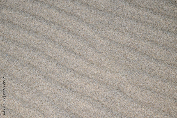 Obraz rides sur le sable