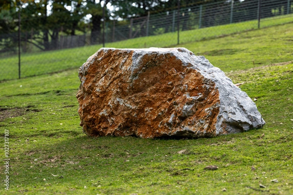 Fototapeta A huge rock in the middle lying in the middle of the garden in the background of the fence and trees.