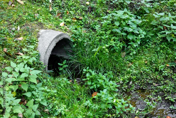 Fototapeta A drainage ditch with a concrete pipe under a dirt road overgrown with grass.