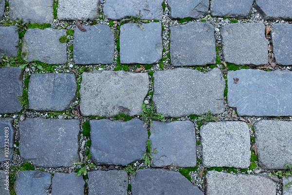 Fototapeta A view of a part of the pavement made of stone paving blocks overgrown with grass.