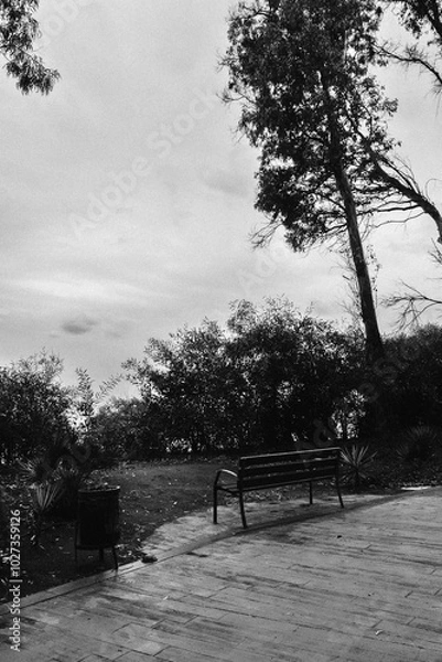 Fototapeta horizonte oscuro en un paisaje de invierno. Se acerca una tormenta