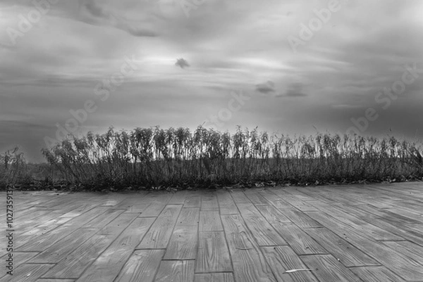 Fototapeta horizonte oscuro en un paisaje de invierno. Se acerca una tormenta