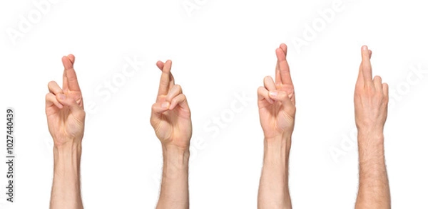 Fototapeta Male fingers crossed, one finger on top of another hoping for good luck, isolated on transparent background, png file